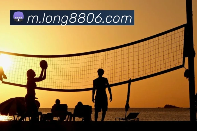 龙8-long8(国际)官方网站平台生态图